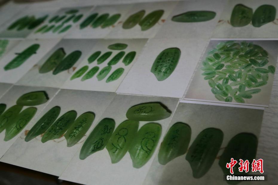 我的世界黏土定位钻石