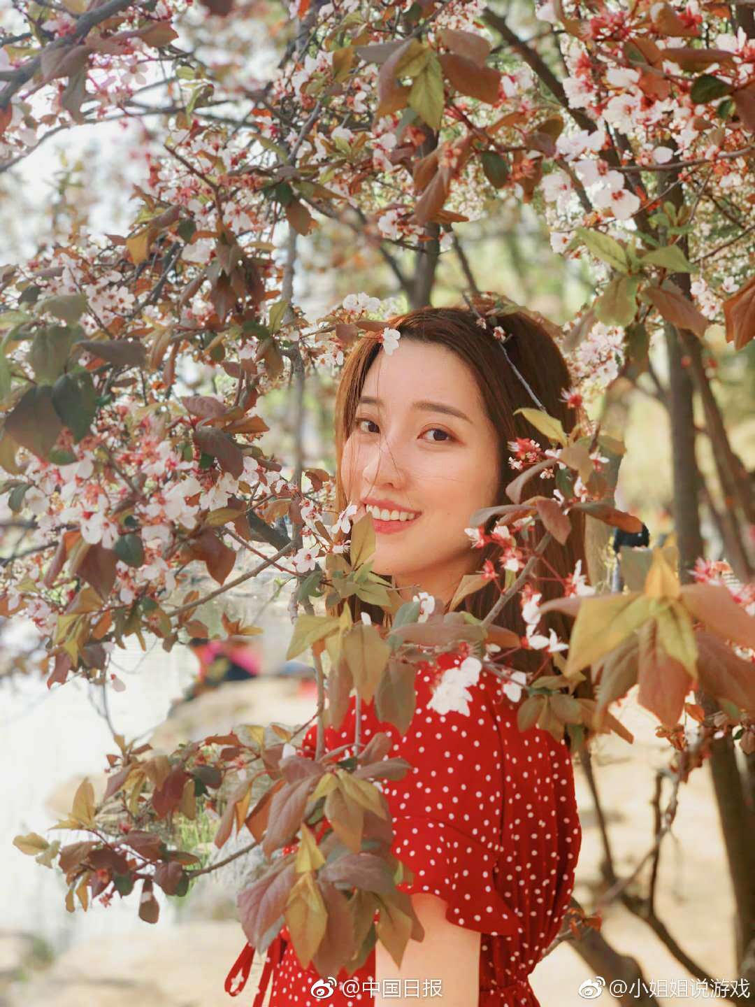 渡神纪芬尼斯崛起所有坐骑的位置在什么地方