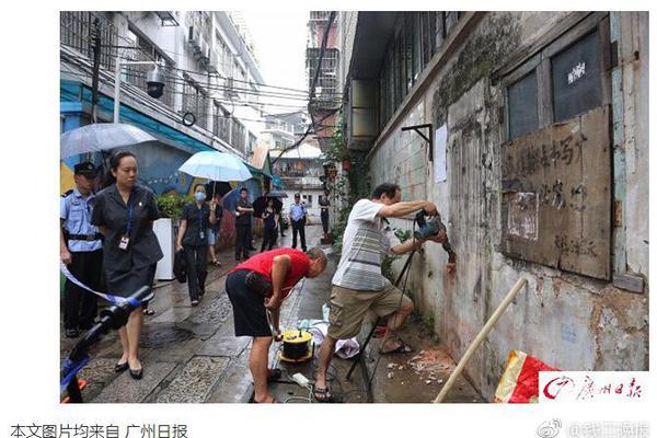 破晓传说米海葛绍尔宝箱和猫头鹰在哪里